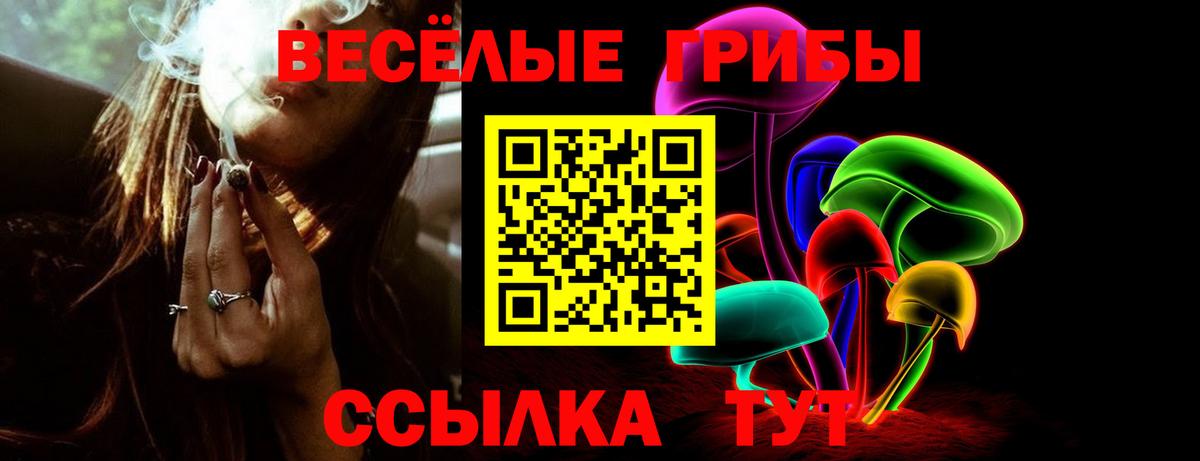 Ишим  Псилоцибиновые грибы Psilocybe  наркотики  Вход с VPN 